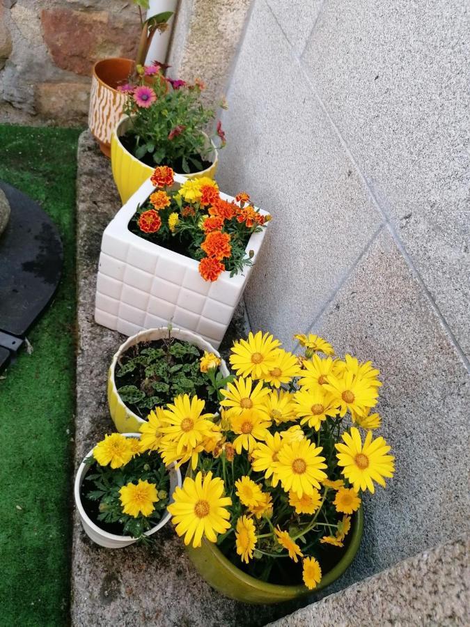 La Veiga Romana Tui Dış mekan fotoğraf